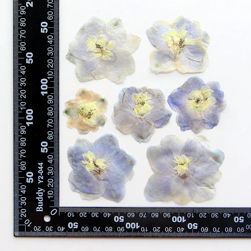 fleurs séchées bleu blanc jaune naturelles petals décor intérieur anniversaire cadeau art artisanal