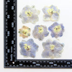 fleurs séchées bleu blanc jaune naturelles petals décor intérieur anniversaire cadeau art artisanal