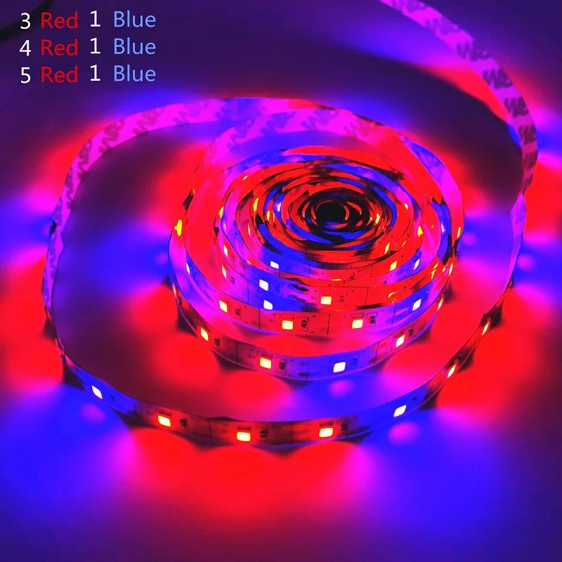 ruban led croissance plantes fleurs serre hydroponique usb rouge bleu aluminium autocollant lumière spectre