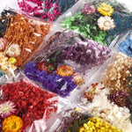 fleurs séchées variées naturelles décoration diy résine bijoux artisanat nail art