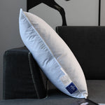 coussin blanc duvet d'oie plumes coton pur grande taille literie maison moderne