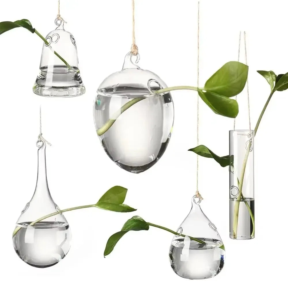 ampoules verre transparentes modernes opalescentes cordelette boutons fixation pot plantes minimaliste