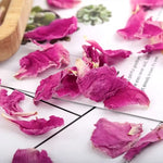 pétales roses séchées naturelles décoration maison mariage baby shower DIY