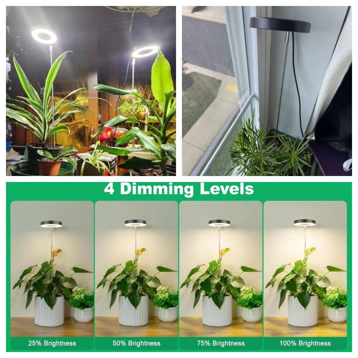 lampe led plante noire blanche réglable hauteur bouton variateur moderne minimaliste piquet câble usb