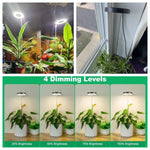 lampe led plante noire blanche réglable hauteur bouton variateur moderne minimaliste piquet câble usb