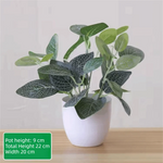 décoration extérieure plante artificielle verte feuilles simples moderne pot blanc accrochable branchu exposition anniversaire