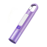 torche rechargeable led portable annneau violet rose gris jaune verte bleue