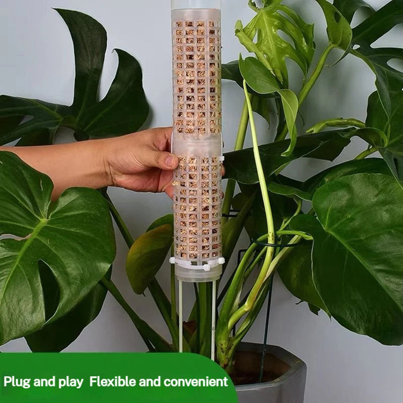 support plantes blanc perforé moderne pot drainage auto arrosageintérieur jardin