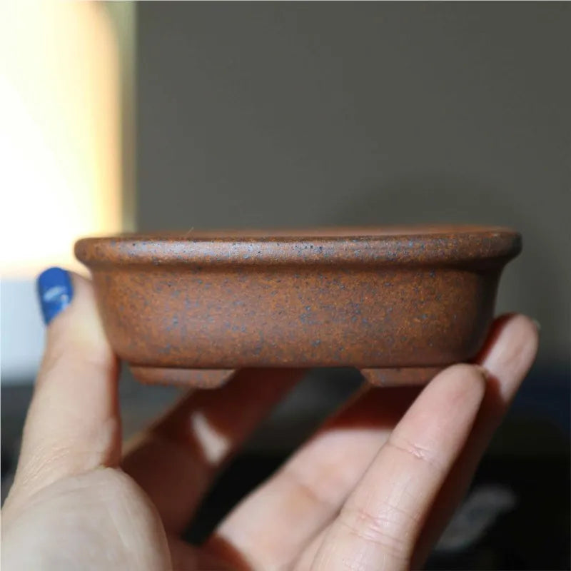 Pot bonsaï argile marron texture gréseuse motifs géométriques classique rustique fleur plante verte décoration