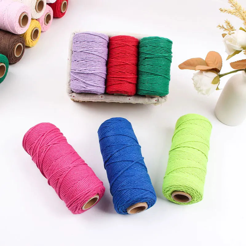 corde coton tressée 50mètres vert rose beige simple déco mariage fête nhà cửa