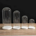 cloches verre transparentes moderne base bois blanc antipoussiere boite exposition 20cm diametre