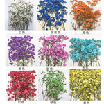 fleurs séchées kit 120 pièces variées blanc bleu orange violet rose rouge vert jaune