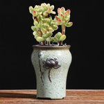 pots fleurs céramique glaçure abstraite bleu rose marron rustique plante verte artisanat