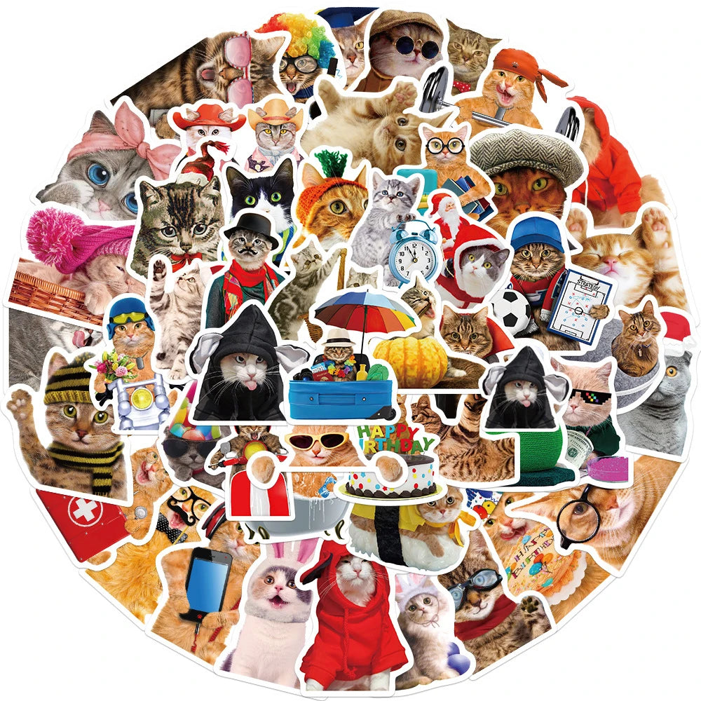 stickers animaux chats multicolores décalcomanies enfants humour adhésifs waterproof pvc instagram anime kpop
