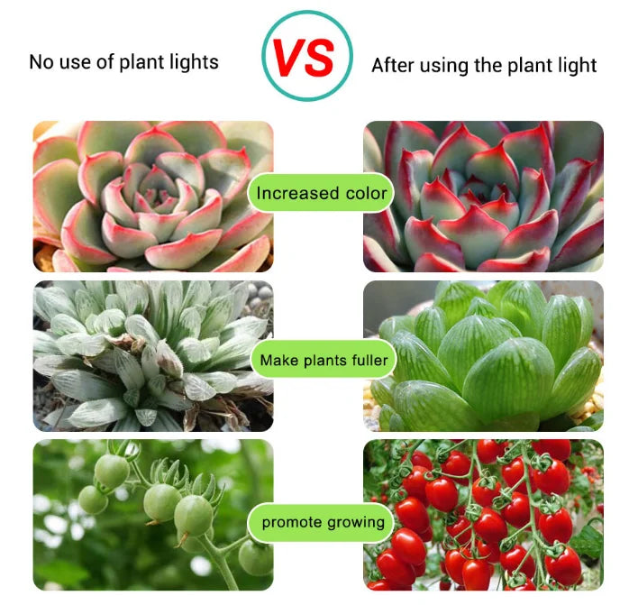 ruban led violet autoadhésif plantation moderne 5v 1m 2m 3m 4m 5m 7m 8m