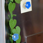 magnétiques réfrigérateur décoratifs floral feuilles fleurs bleu rose vert étoiles