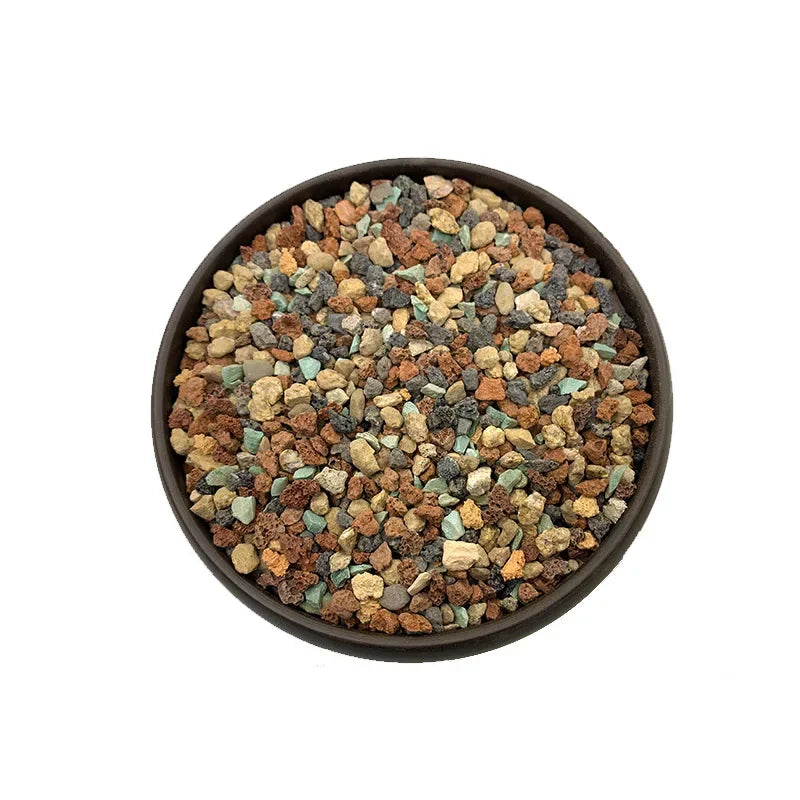 gravier naturel noir gris vert granulaire jardin pot succulentes plantes matricielles arc ciel