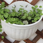 pots fleurs suspendus rayures verticales blanc jaune violet vert orange rose modernes crochets jardinage