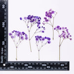 bouquet fleurs séchées naturelles variées bleu vert violet rouge jaunes ornement intérieur décoration artisanale