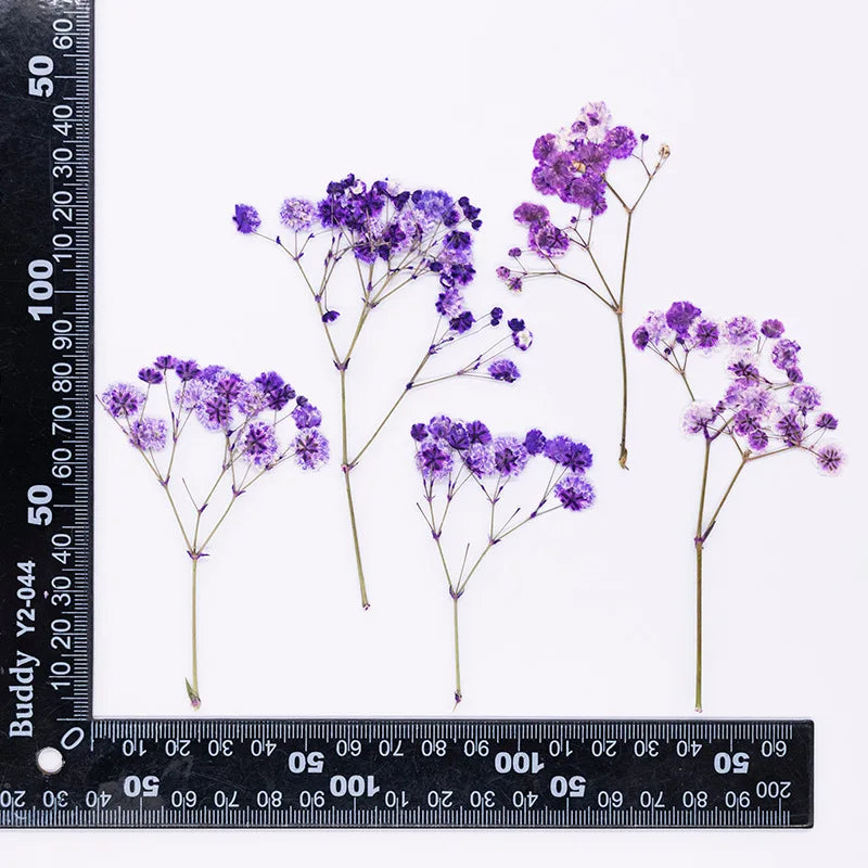 bouquet fleurs séchées naturelles variées bleu vert violet rouge jaunes ornement intérieur décoration artisanale