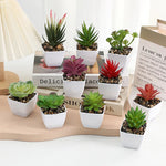 plantes succulentes artificielles vert rouge marron moderne minimaliste intérieur décoration maison