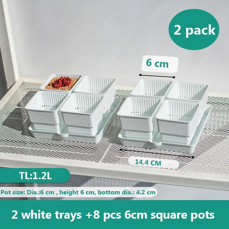pots succulentes blancs modernes entailles drainage 6cm 7cm cactus pierres