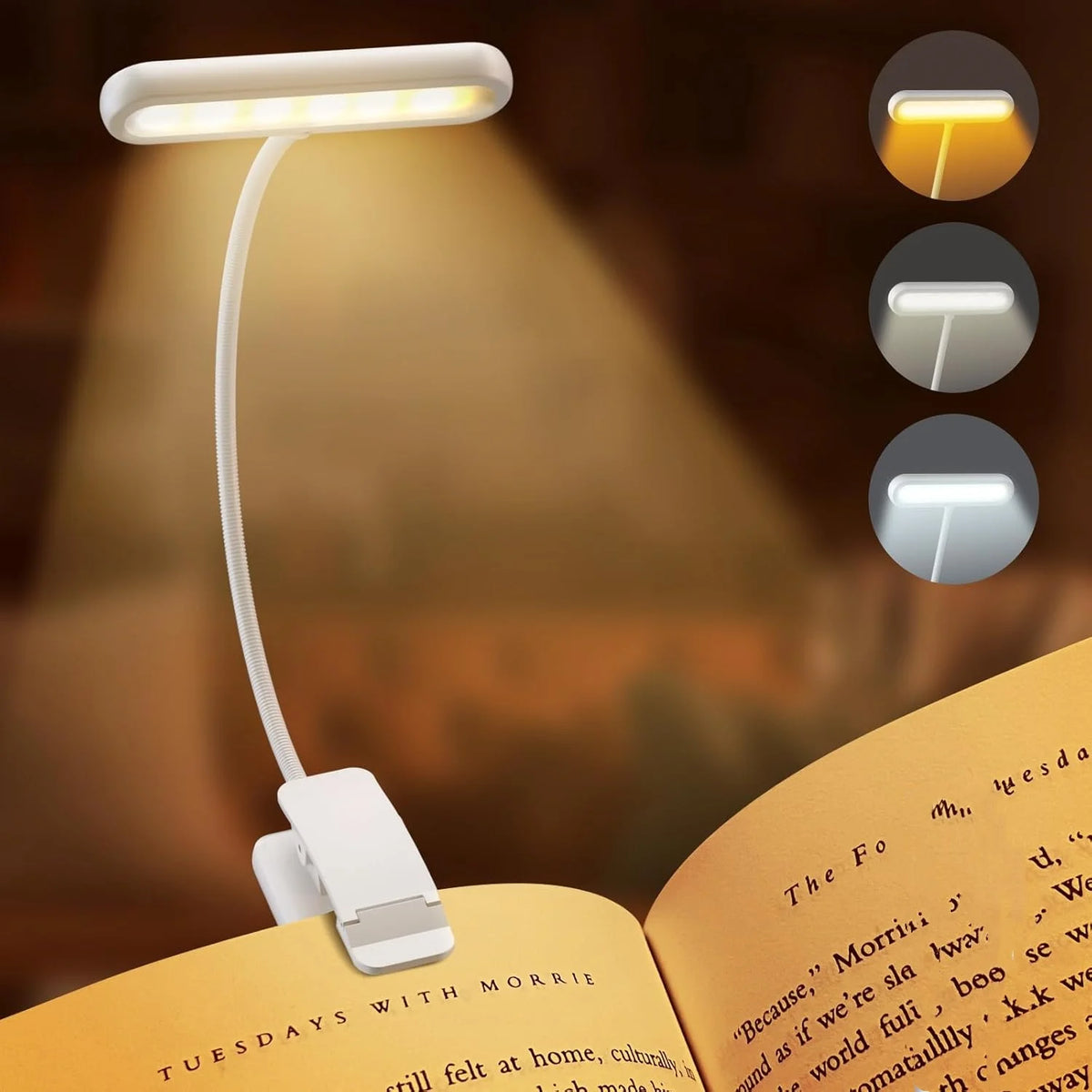 lampe lecture rechargeable rose pinces clipser minimaliste lumière blanc chaude froide usb portable