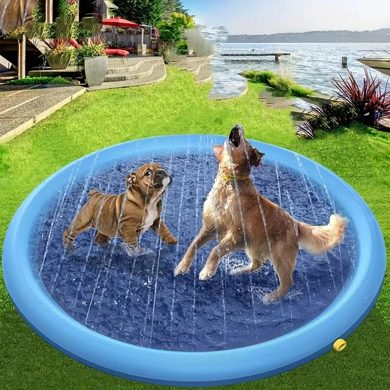 Piscine chiens jeu eau extérieure bleu disque sprinkler moderne mat