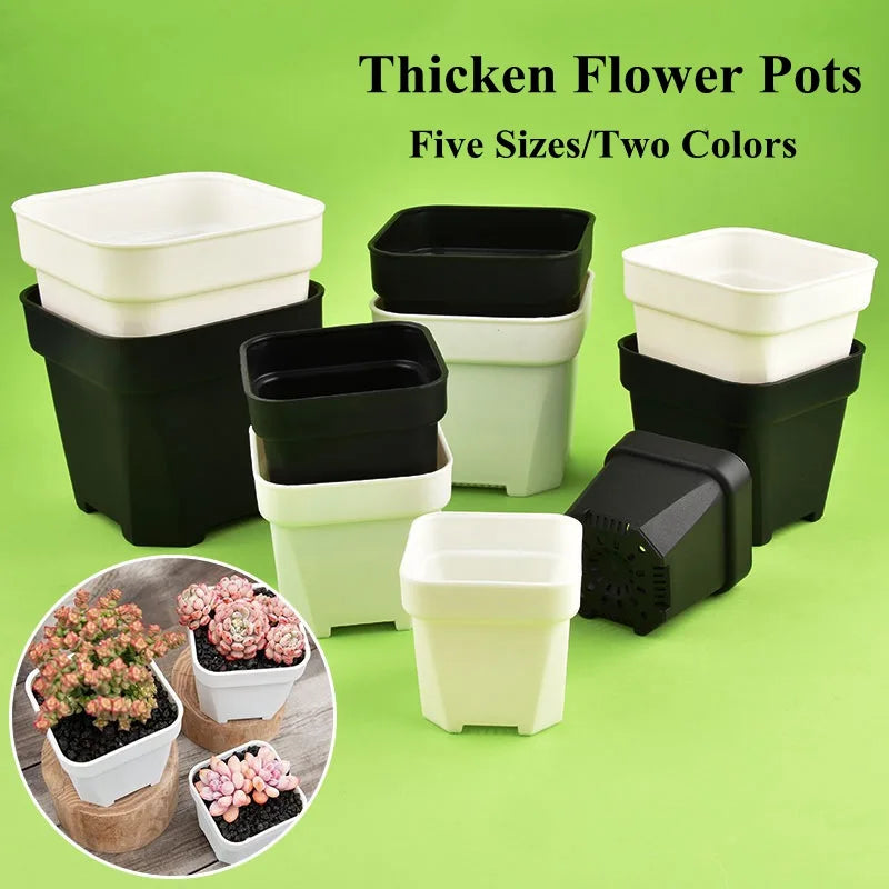 pots fleurs modernes noirs blancs grillage ventilation sol non enduits succulentes plantes vertes jardin