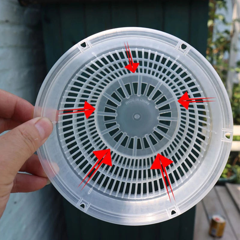 Pot transparent avec racines d'orchidée visibles