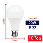 lot 10 ampoules led boule opalescent blanc chaud froid culot e27 e14