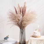 fleurs séchées naturelles rose pâle décoration maison anniversaire mariage rustic