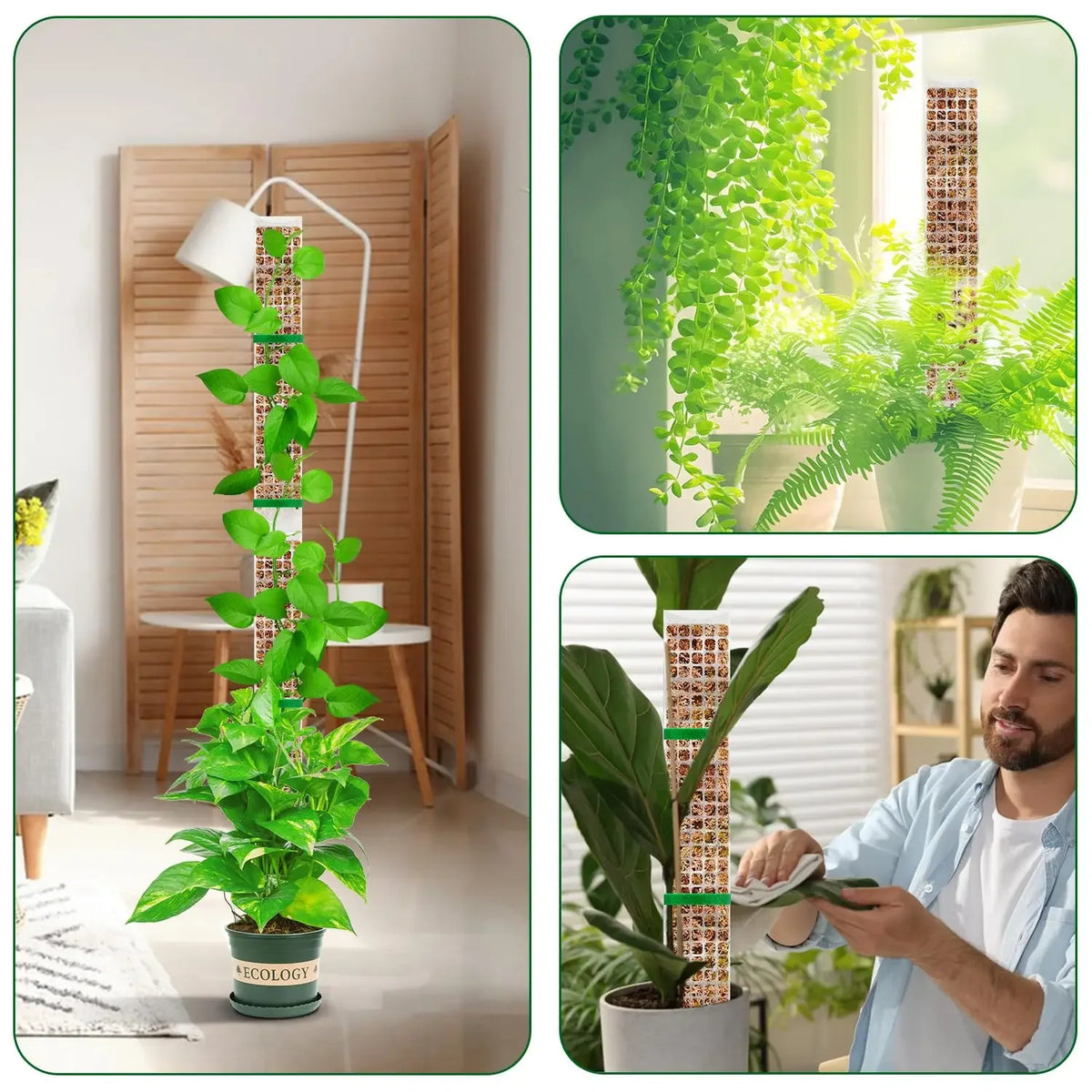 support croissance plantes vertes moderne adhésif pliante pot éco compatibleintérieurextérieur
