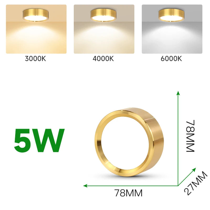 Spot LED Or Moderne Surface Montée Plafonnier 5W 10W 15W 25W Couleurs Changeables