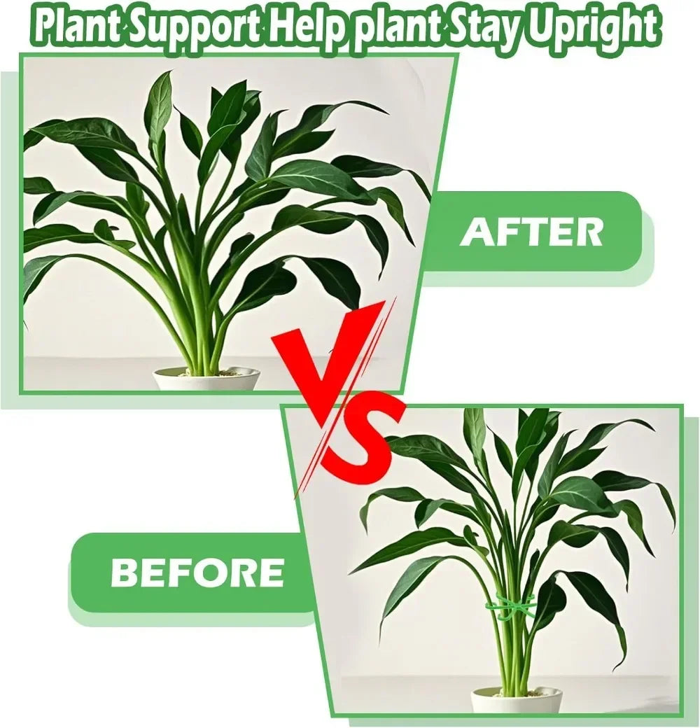 Support plante intérieure vert moderne fixe tige plante fleur six pétales incurvés plastique