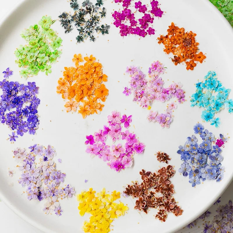 fleurs séchées naturelles bleu vert orange rose violet jaunes fleurs simples décoration diy bijoux