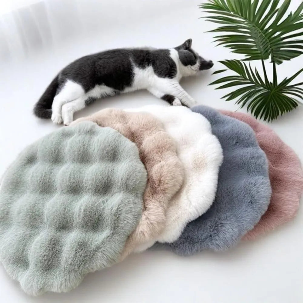 coussin chat gris clair doux peluche lavable moderne 30cm beige rose pale