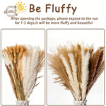 bouquet fleurs séchées boho chic herbe pampas décor table maison anniversaire mariage rustic