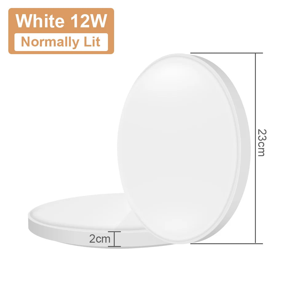 Lampe LED plafonnier moderne 220V 249 2000 flux lumineux blanc radar étanche IP55