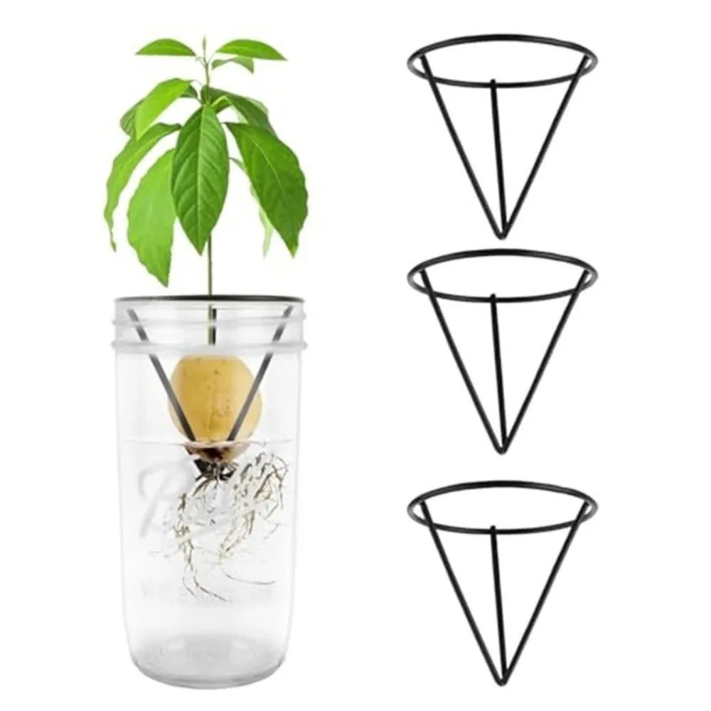 supports plantes verre transparent noirs verts triangles modernes base bois fixations adhésives minimalistes jardinage