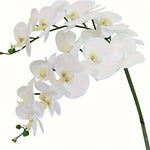 Orchidées artificielles blanc fleurissantes modernes décoration intérieure élégante vase doré maison mariage