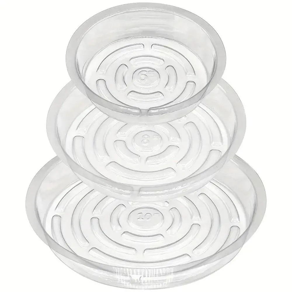 plateau plante transparent moderne 10 12 pouces adhésif concentrique rayures