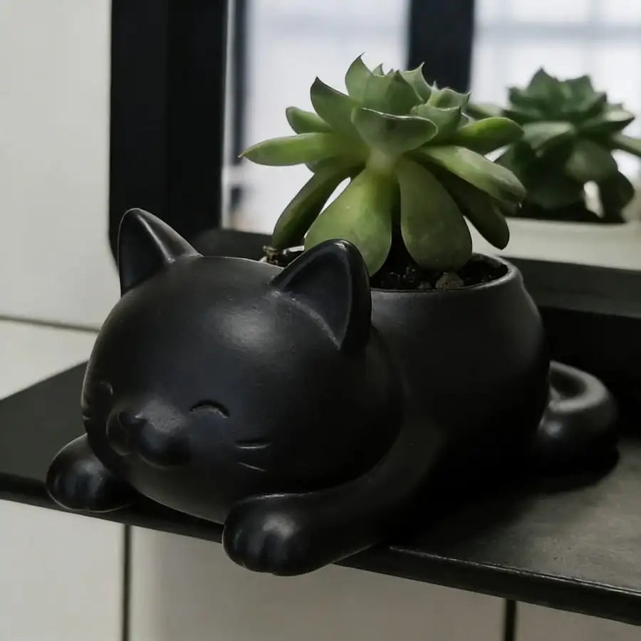 cache pot forme chat blanc noir gris moderne plante succulente doux mignonintérieur decoration