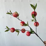 décoration intérieure branches fruits naturels pommes oranges citrons marrons festive maison anniversaire