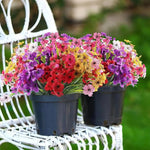bouquets fleurs artificielles violettes modernes decoration maison intérieur simple petite opacité visible