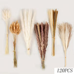 décoration boho bouquet pampas séchés beige crème anniversaire mariage table vase