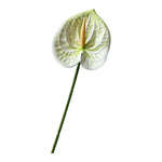 fleurs artificielles vert rouge blanc moderne décoration intérieure bouquets mariage arrangements floraux minimaliste
