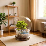 vase verre transparent terrarium miniature décoration arbre figurines fleurs