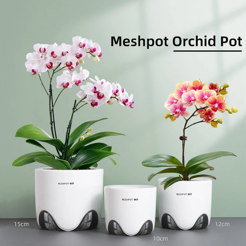 pots orchidées modernes blancs transparents 15cm 12cm 10cm aircone racines rebondissement