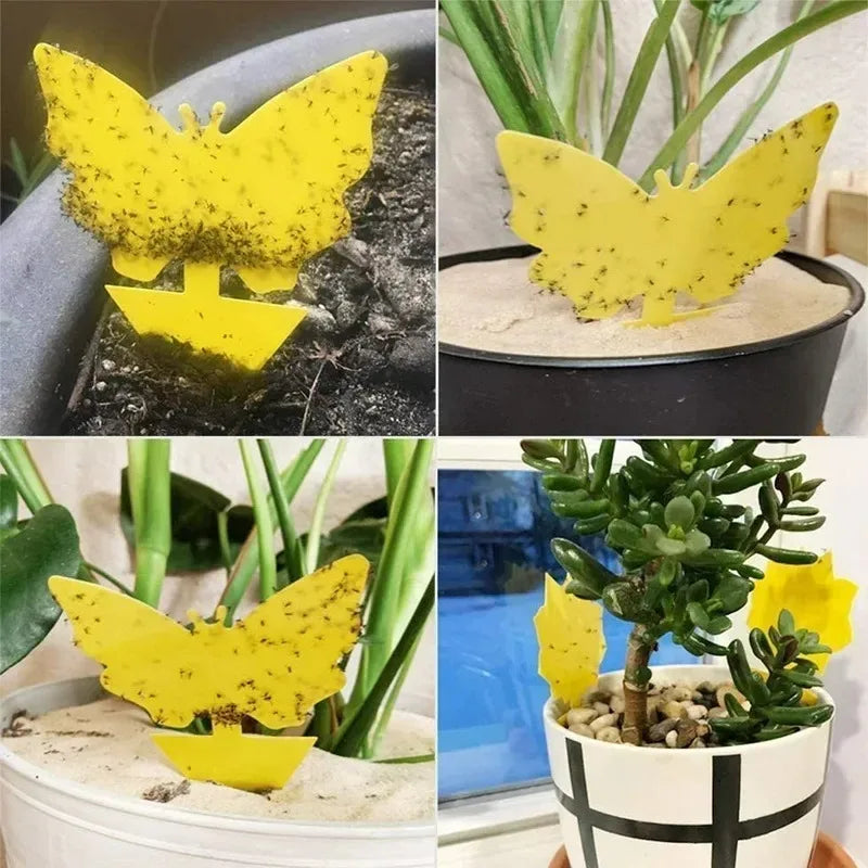 pièges insectes adhésifs papillon jaune moderne protection jardin 13x8cm abeilles mouches moustiques fourmis